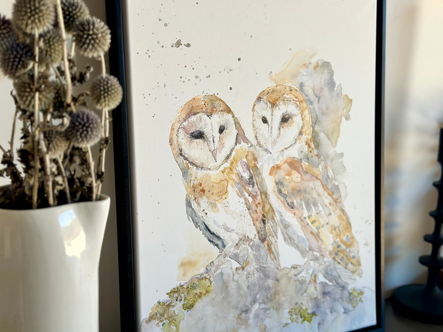Barn Owls