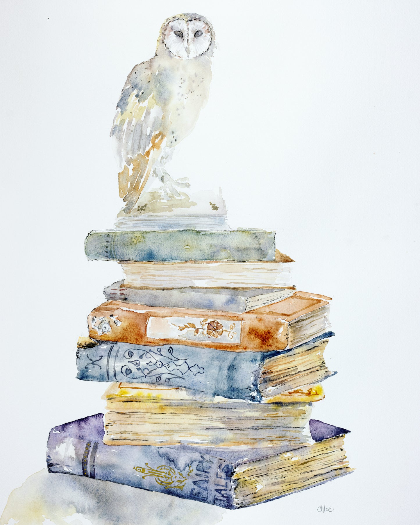 Barn Owl Tales - unframed