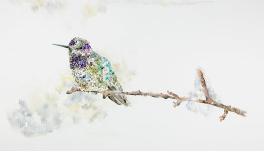 Delicate watercolor painting of a hummingbird hovering near a slender, leafless branch with snow. Soft washes of color and negative space create a sense of quiet stillness. Artwork by Scottish watercolorist Chloe Duncan, capturing the grace of nature in minimalist form