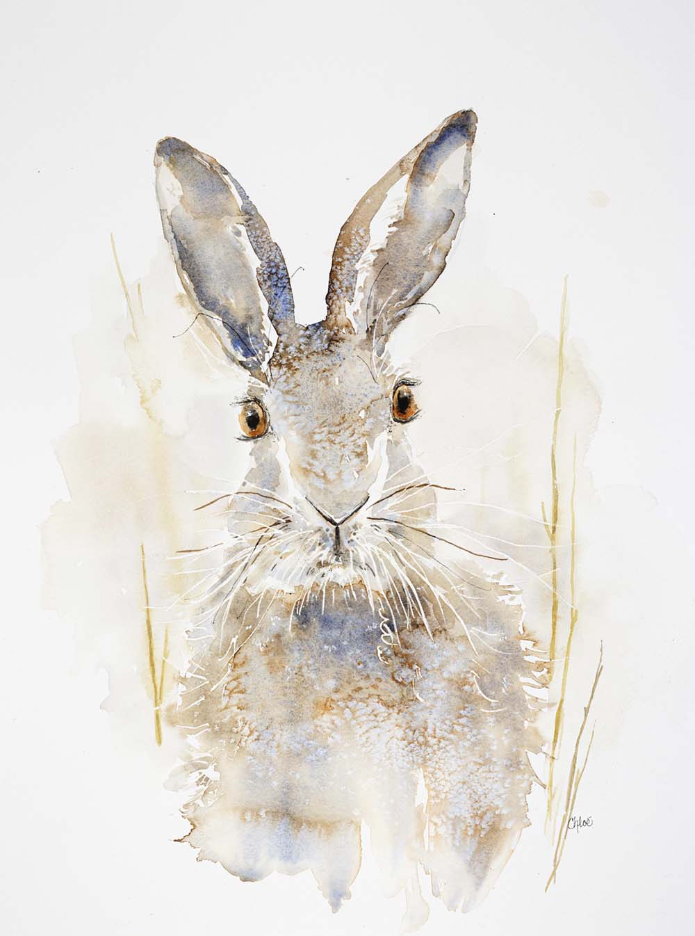 A lone hare with tall ears and steady eyes, painted in soft washes of earth and shadow. Watercolor original Sable by Chloe Duncan