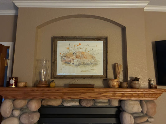 Fox Nap in Poppies - Original Watercolor Painting