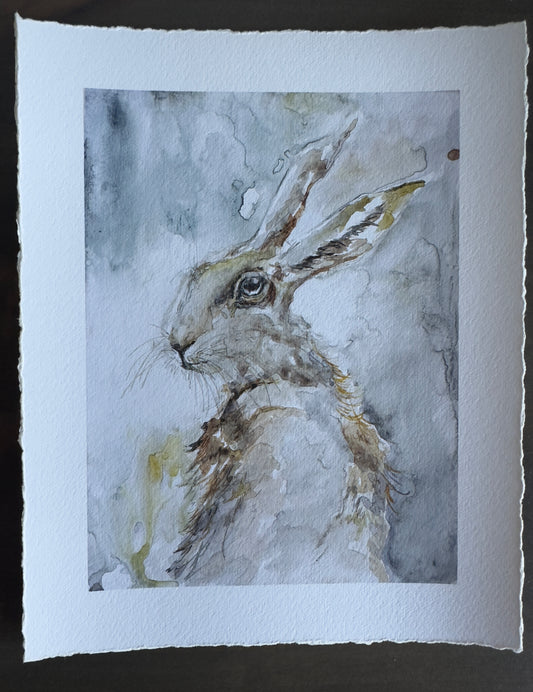 Grey Hare looking at the screen with a bluish grey background art work