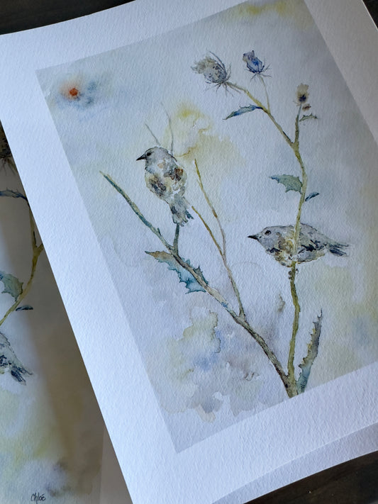 Two Birds - More in Stock June 18 approx