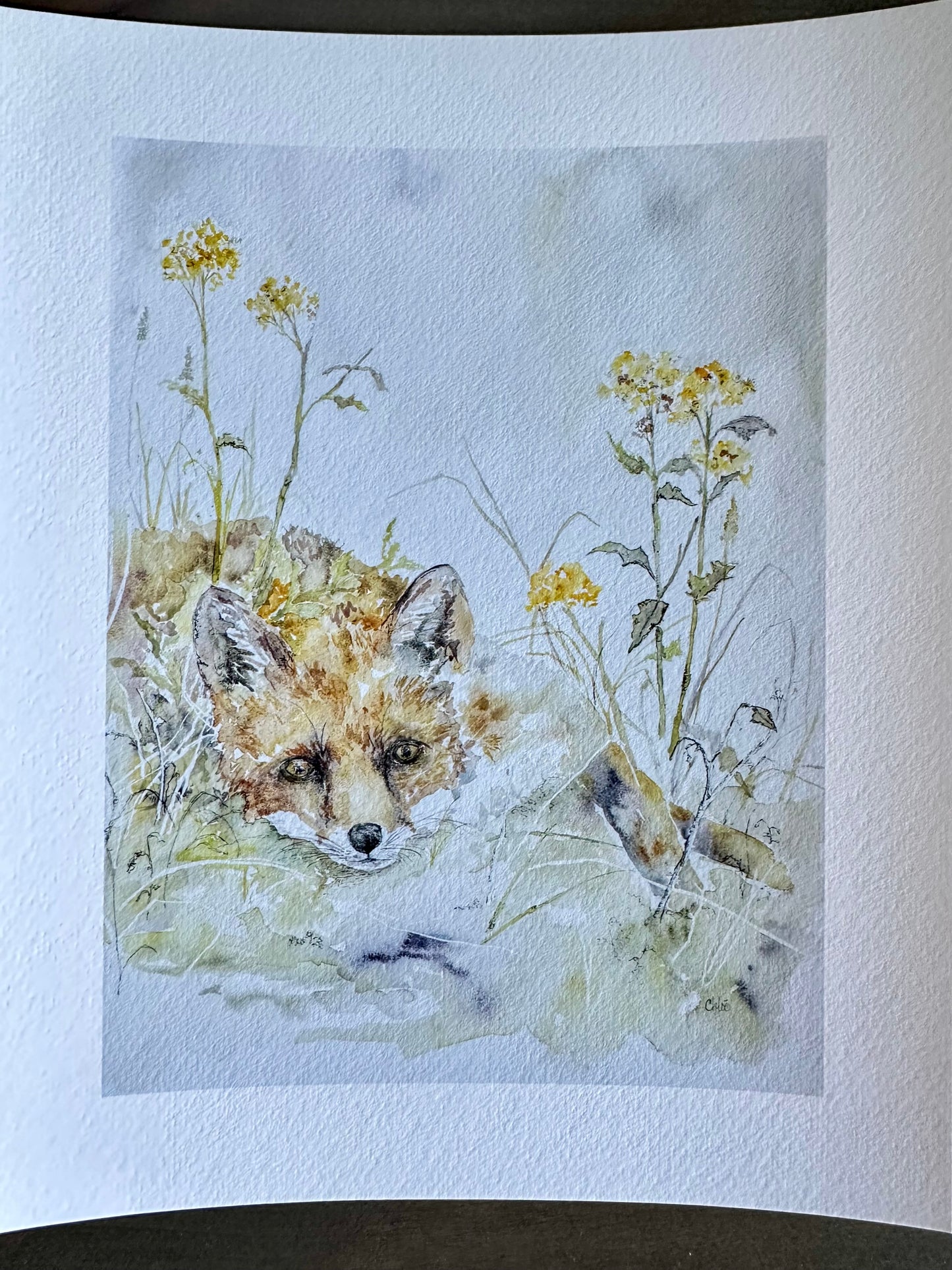 Fox in Flowers - New!