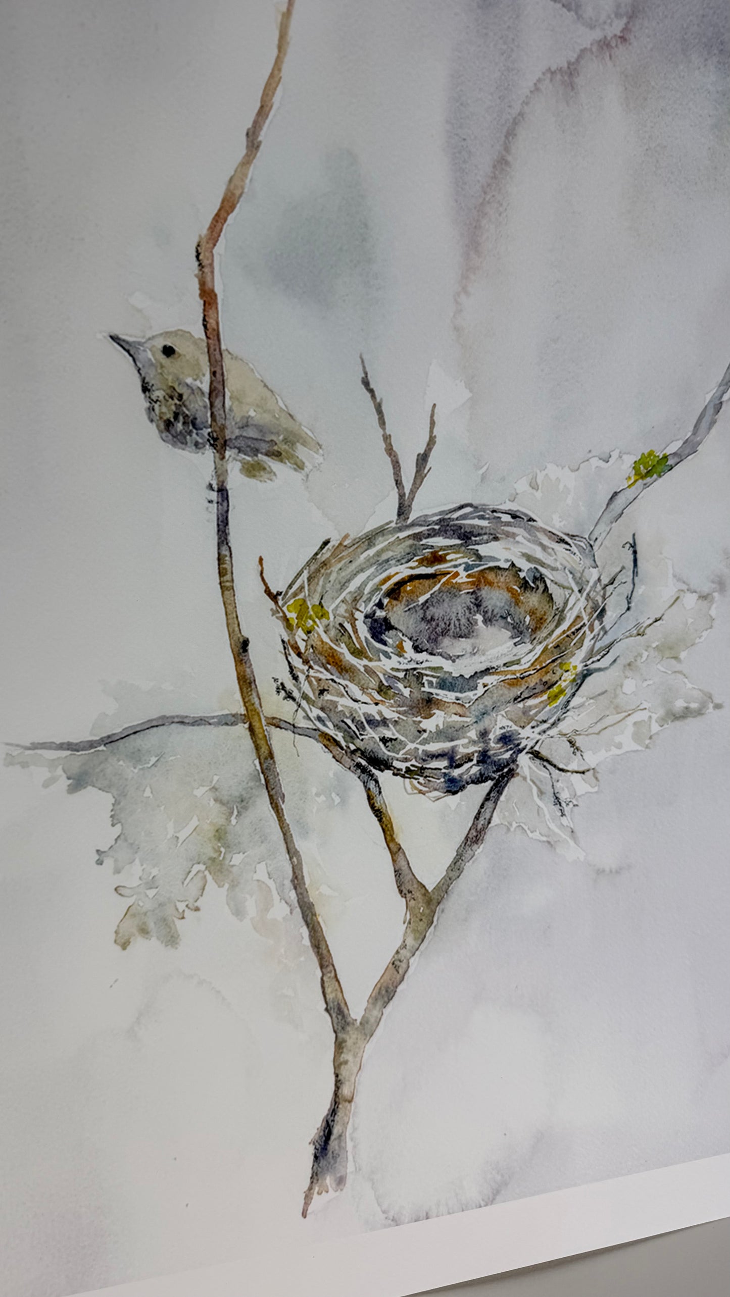 The Wee Nest - Low resolution