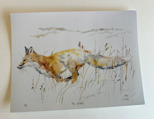 Fox Stride (Sold As is)