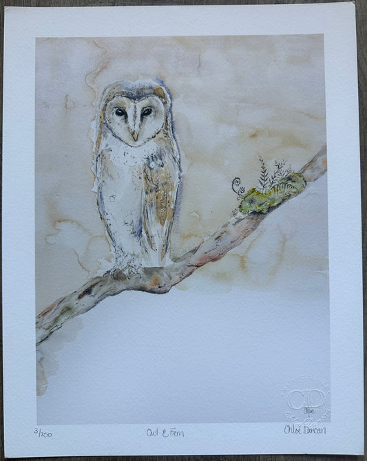 Owl & Fern