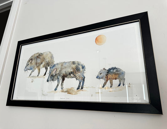 Javelina Line Framed