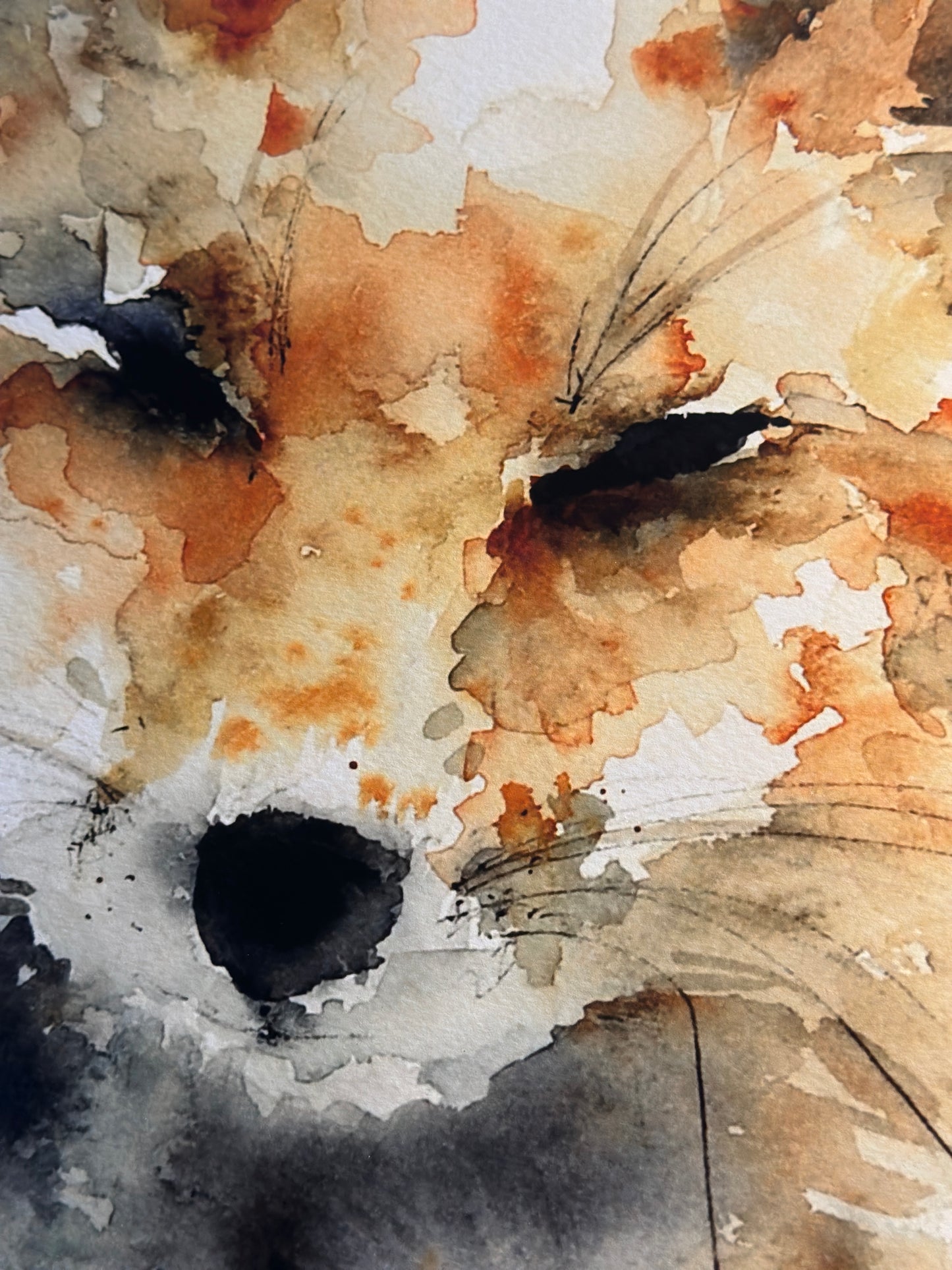 Oops! No border “Mr Fox” (Sold As Is)