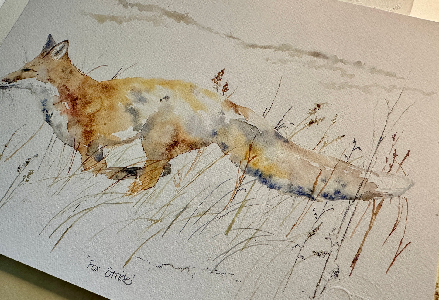 Fox Stride (Sold As is)