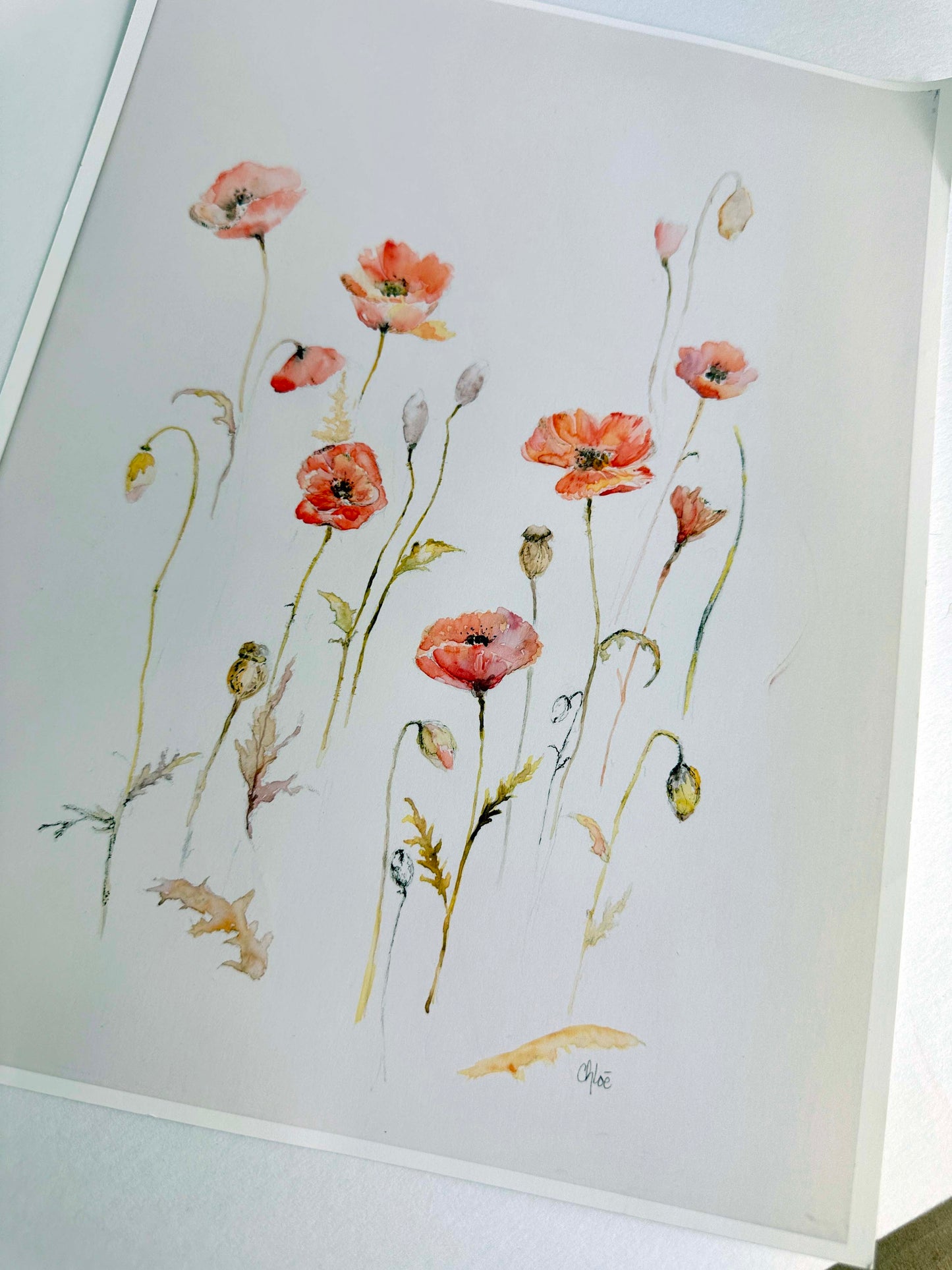 Poppies Artist Proof Print