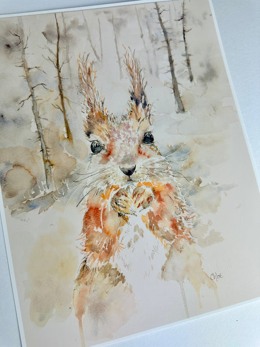 Chestnut Squirrel artist proof print
