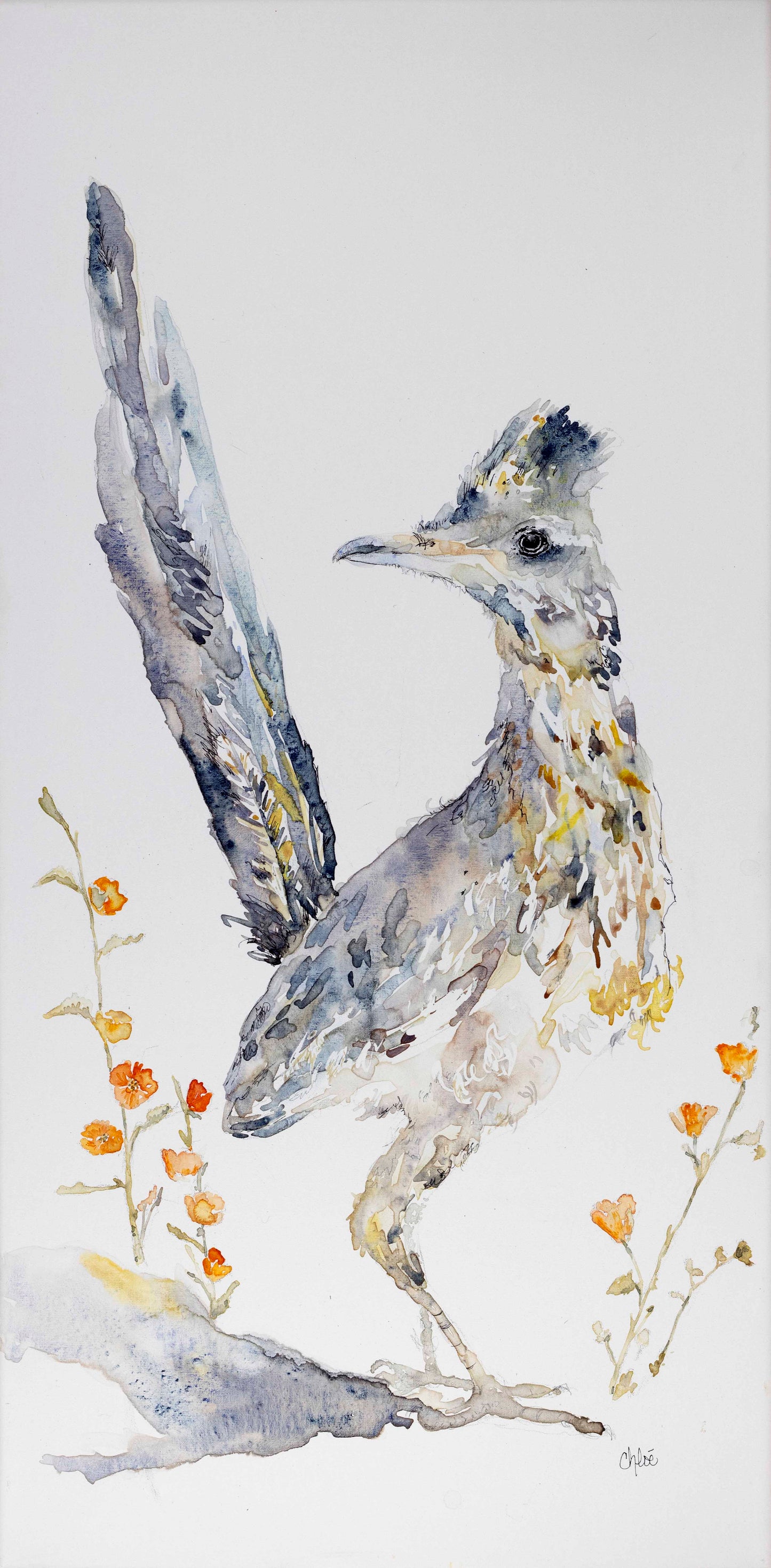 Mojave Runner - Watercolor Roadrunner Art Print | Desert Wildlife Giclee