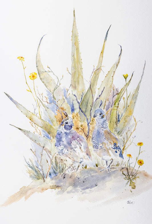 Quail & Agave