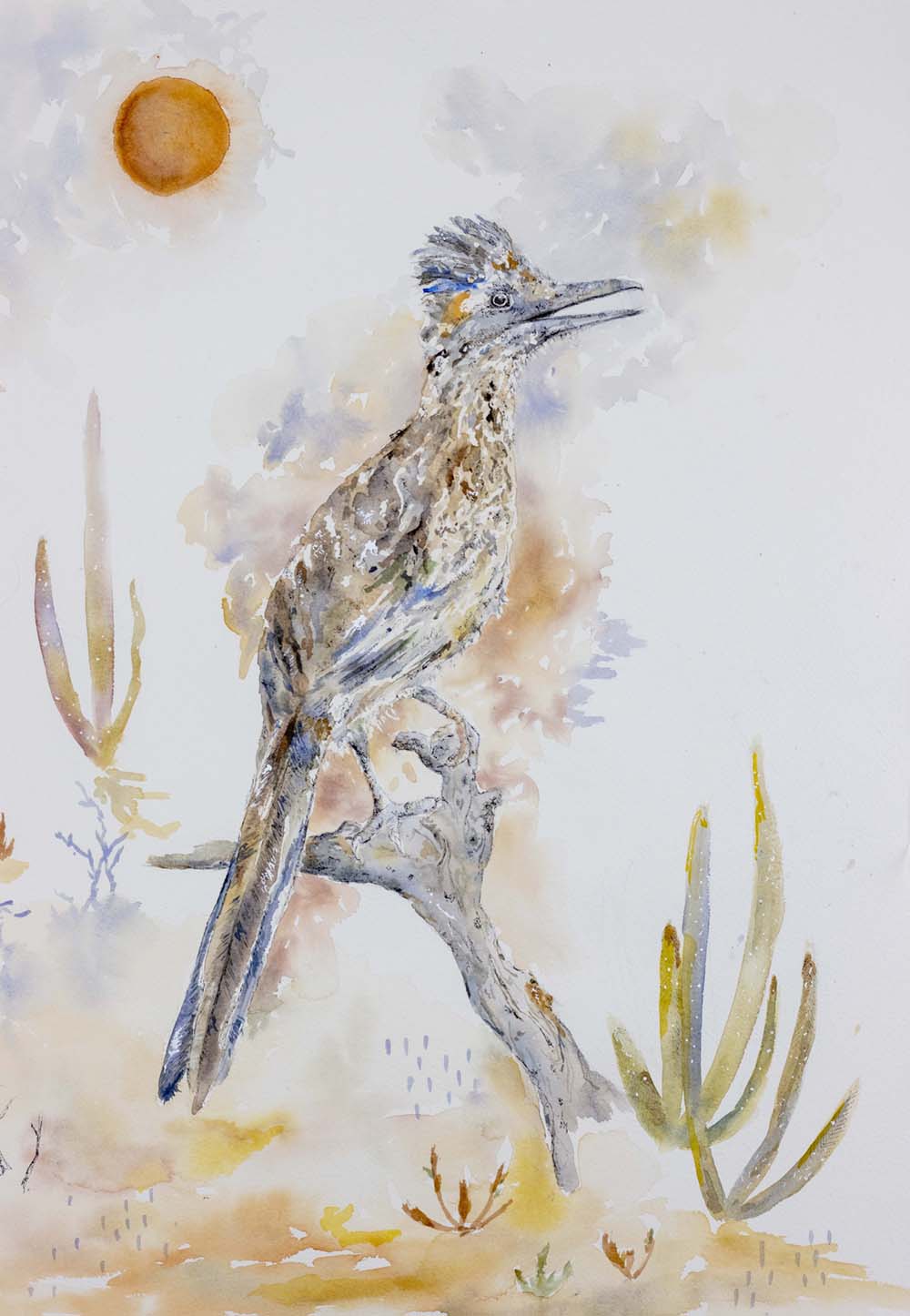 Roadrunner