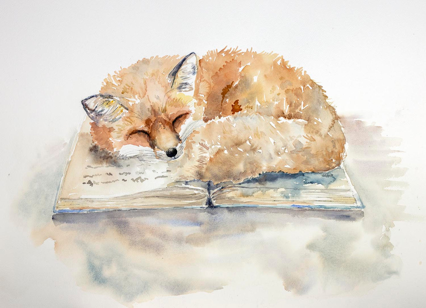 Sleepy Stories