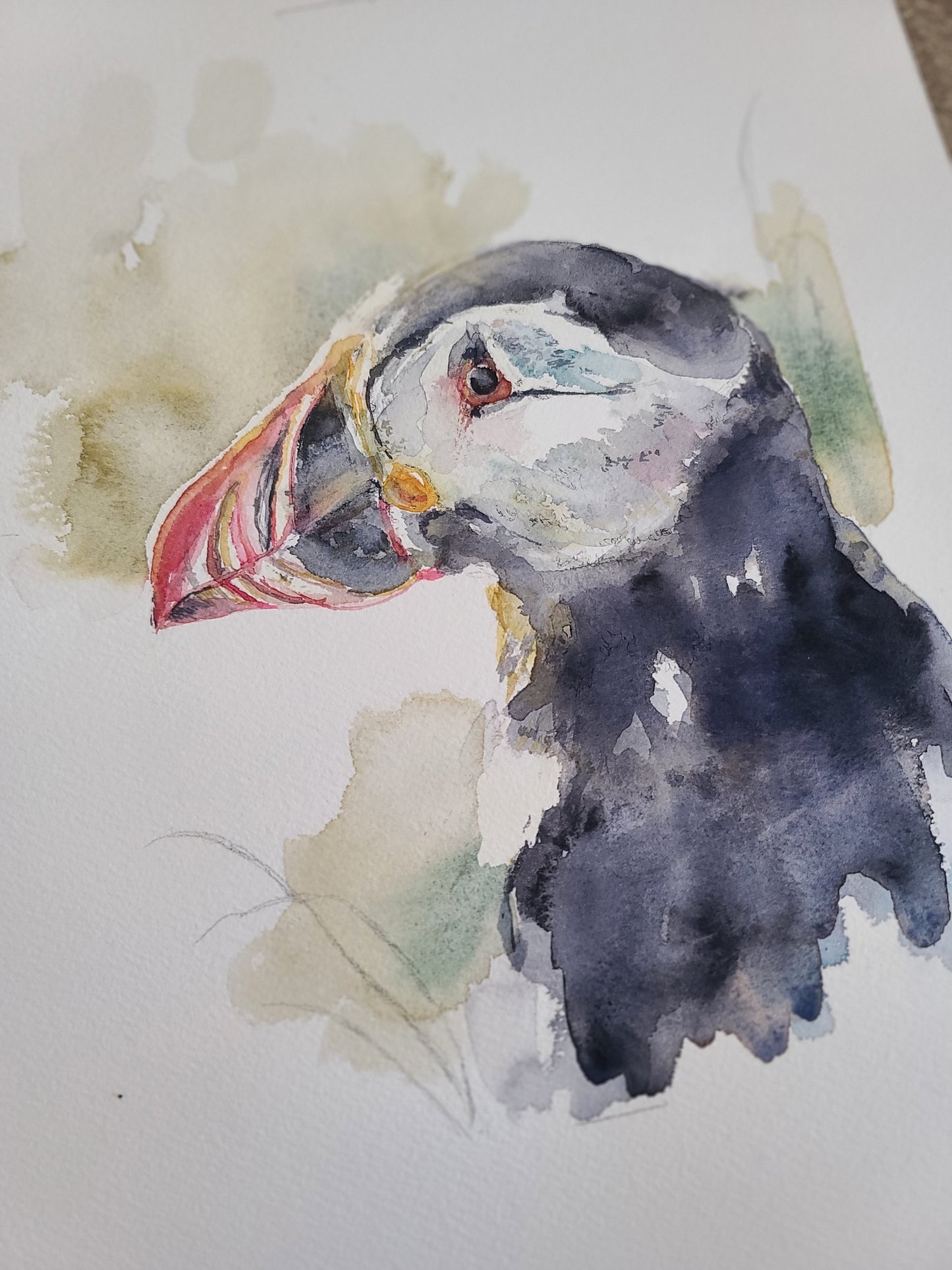 Puffin Portrait