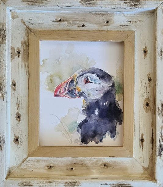 Puffin Portrait