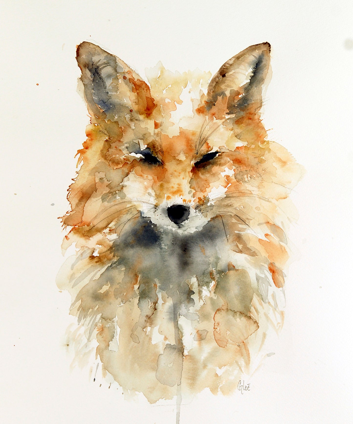 Mr Fox