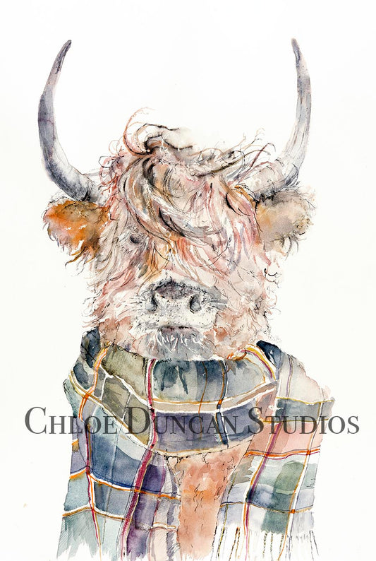 Highland scottish cow wearing a tartan scarf. Watercolor highland cow from scotland by Chloe Duncan