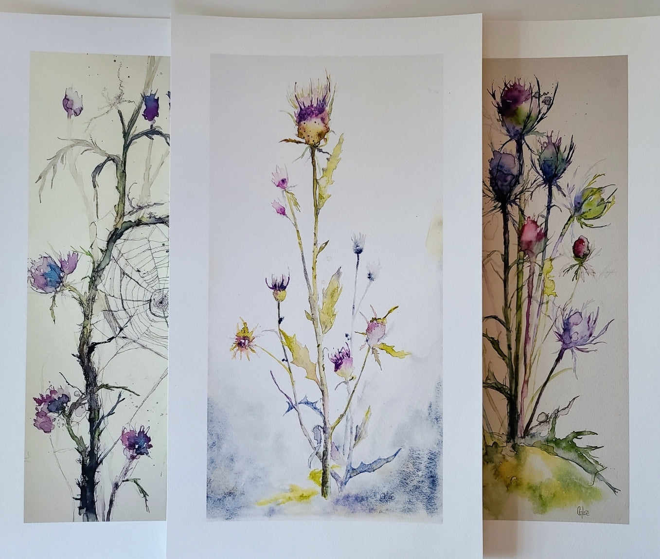 Other thistle images available