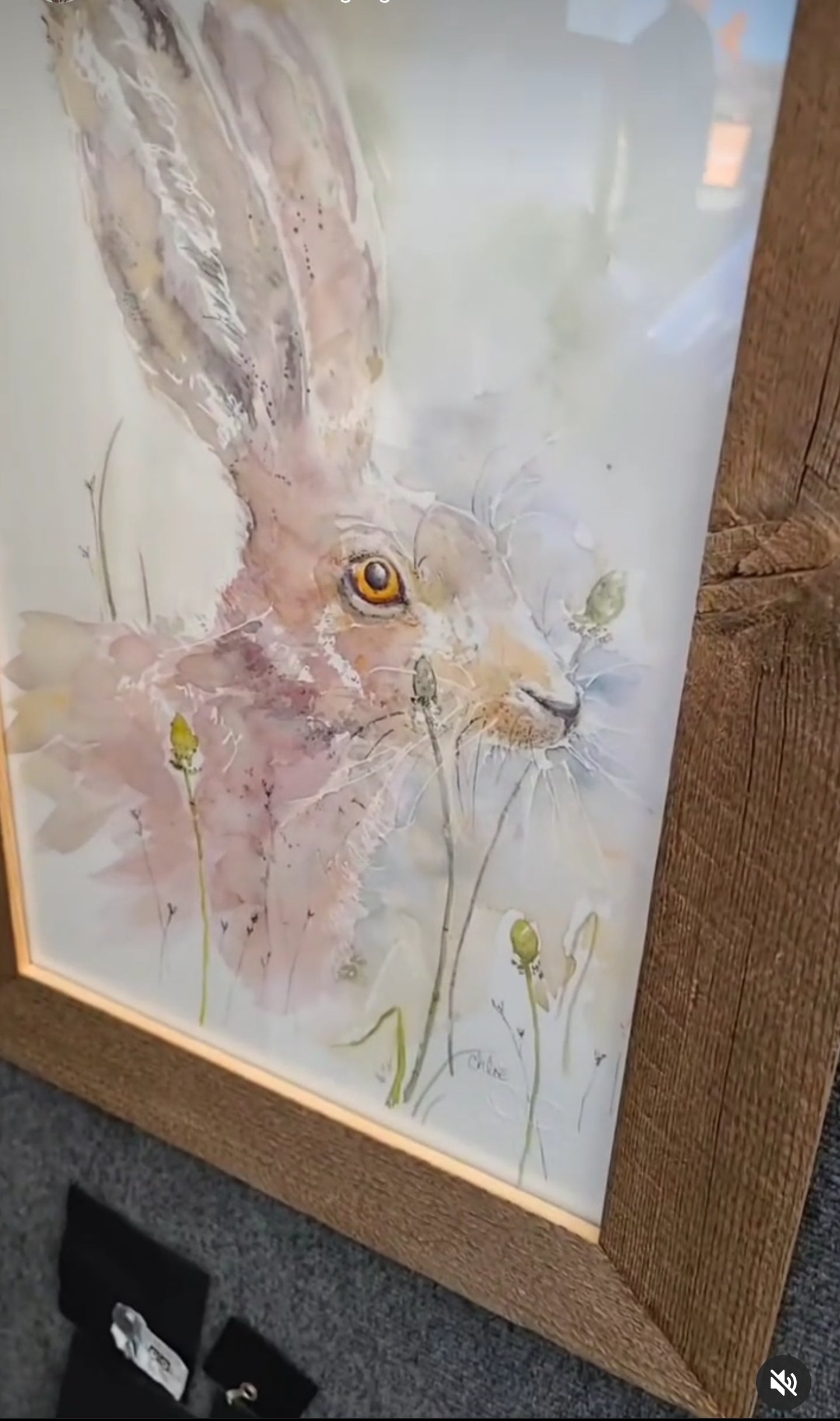 Hare & Dandelion