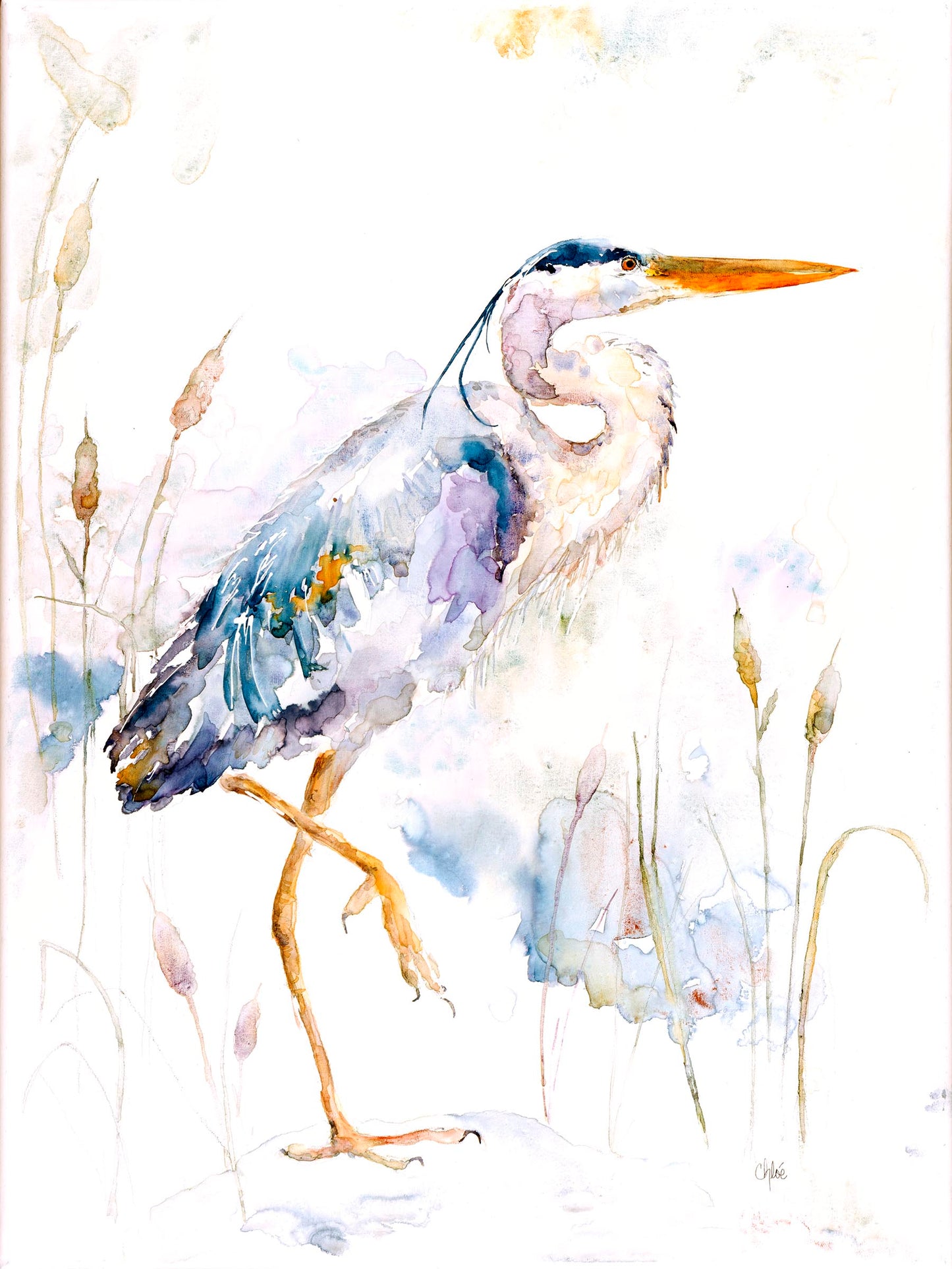 Heron