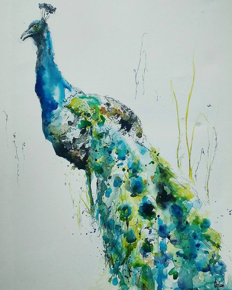 Mr Peacock •Sold•