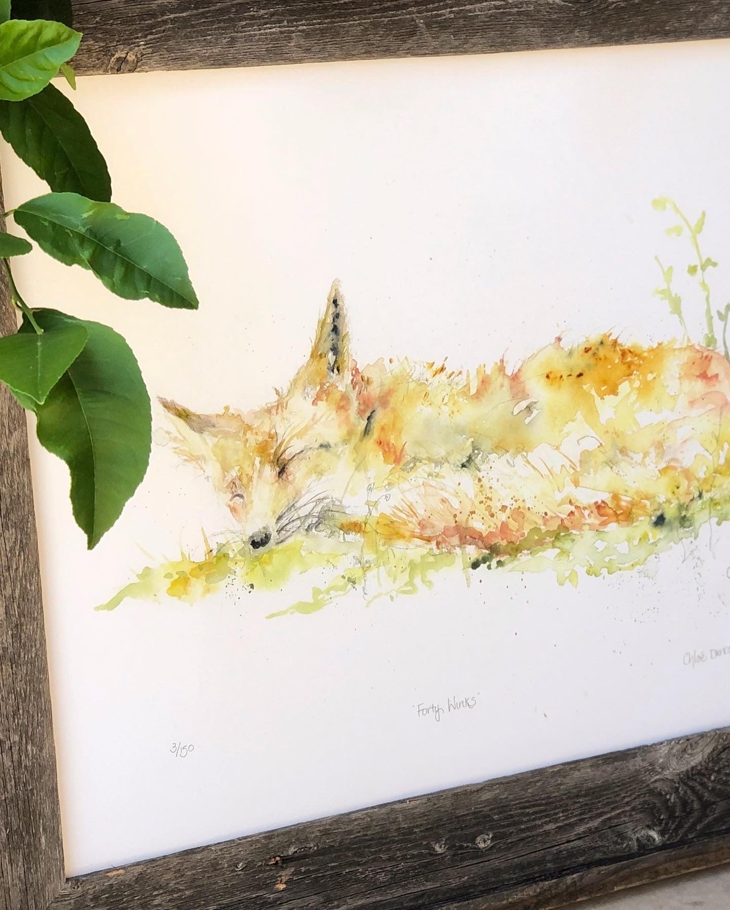 Forty Winks Giclee Print (Custom Order)