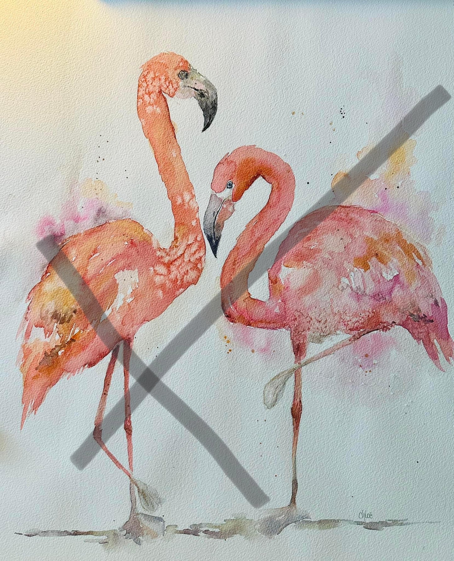 Flamingos