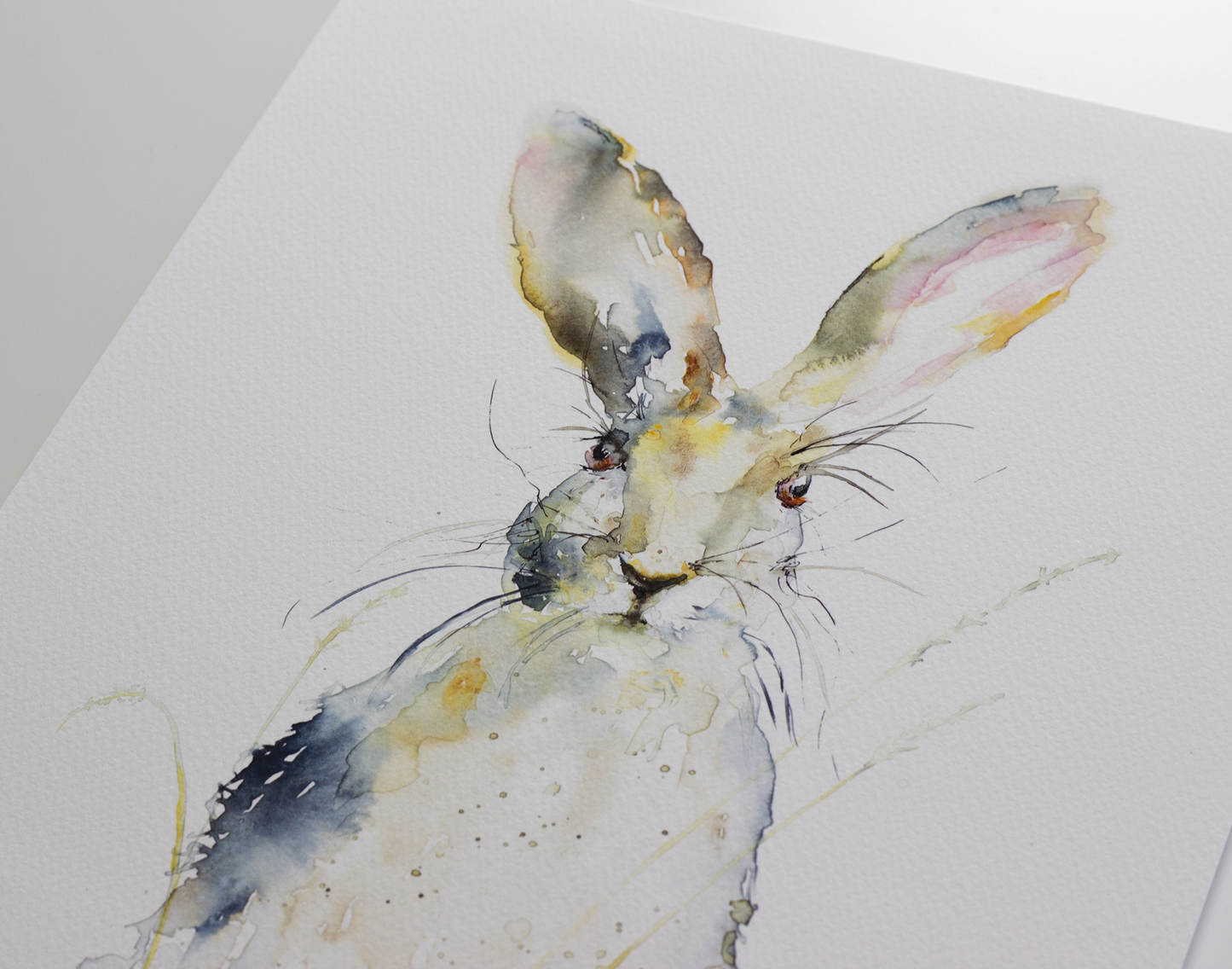Hare in Wheat