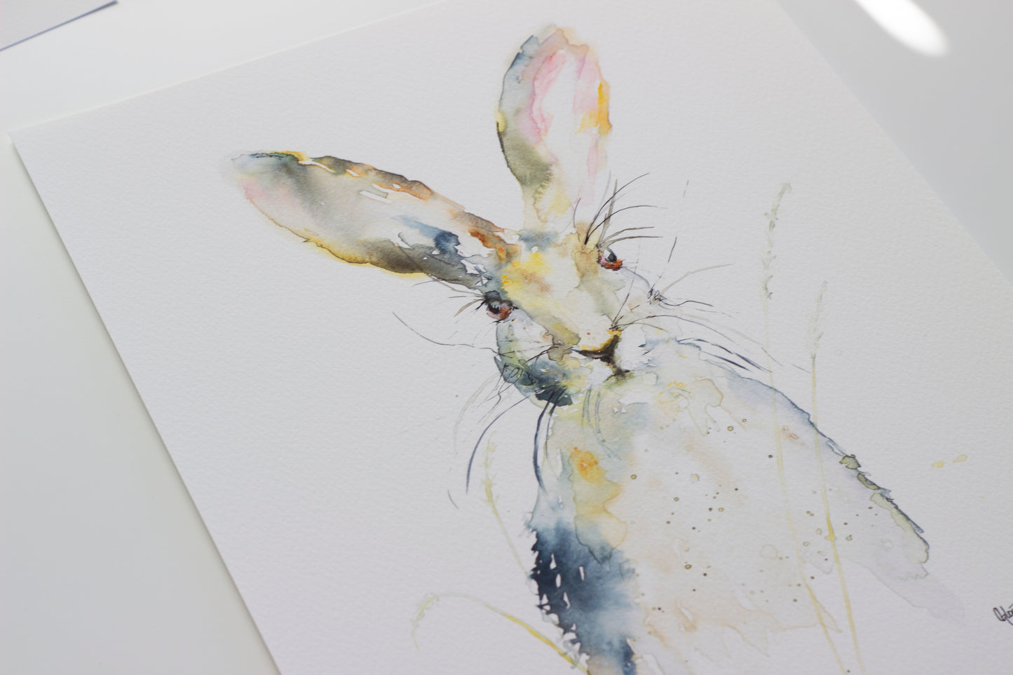 Hare in Wheat