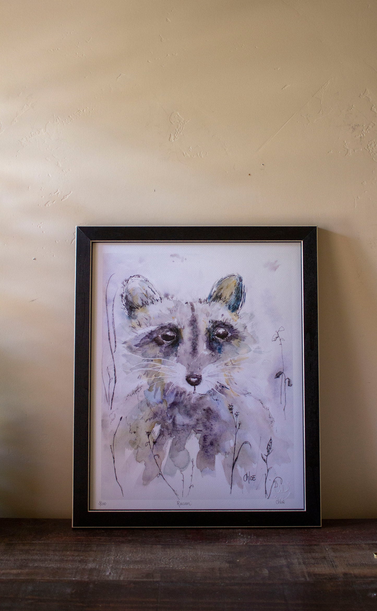 Framed "Racoon"