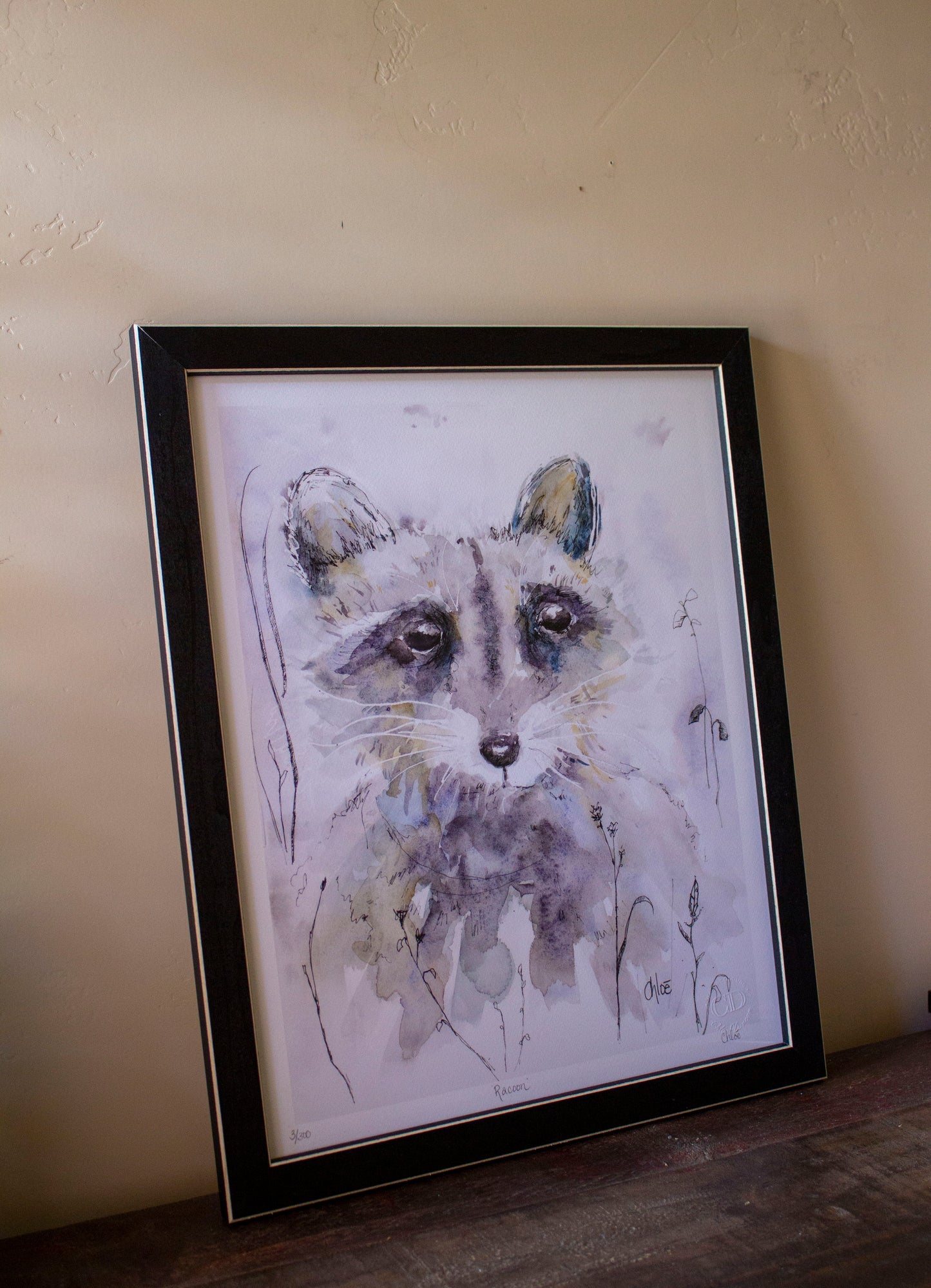 Framed "Racoon"