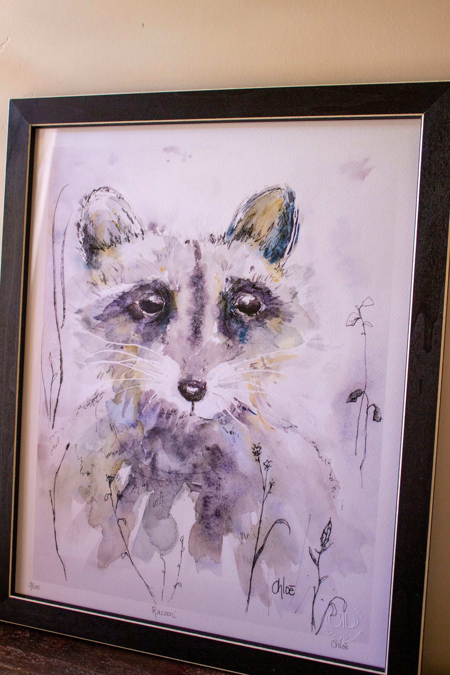 Framed "Racoon"