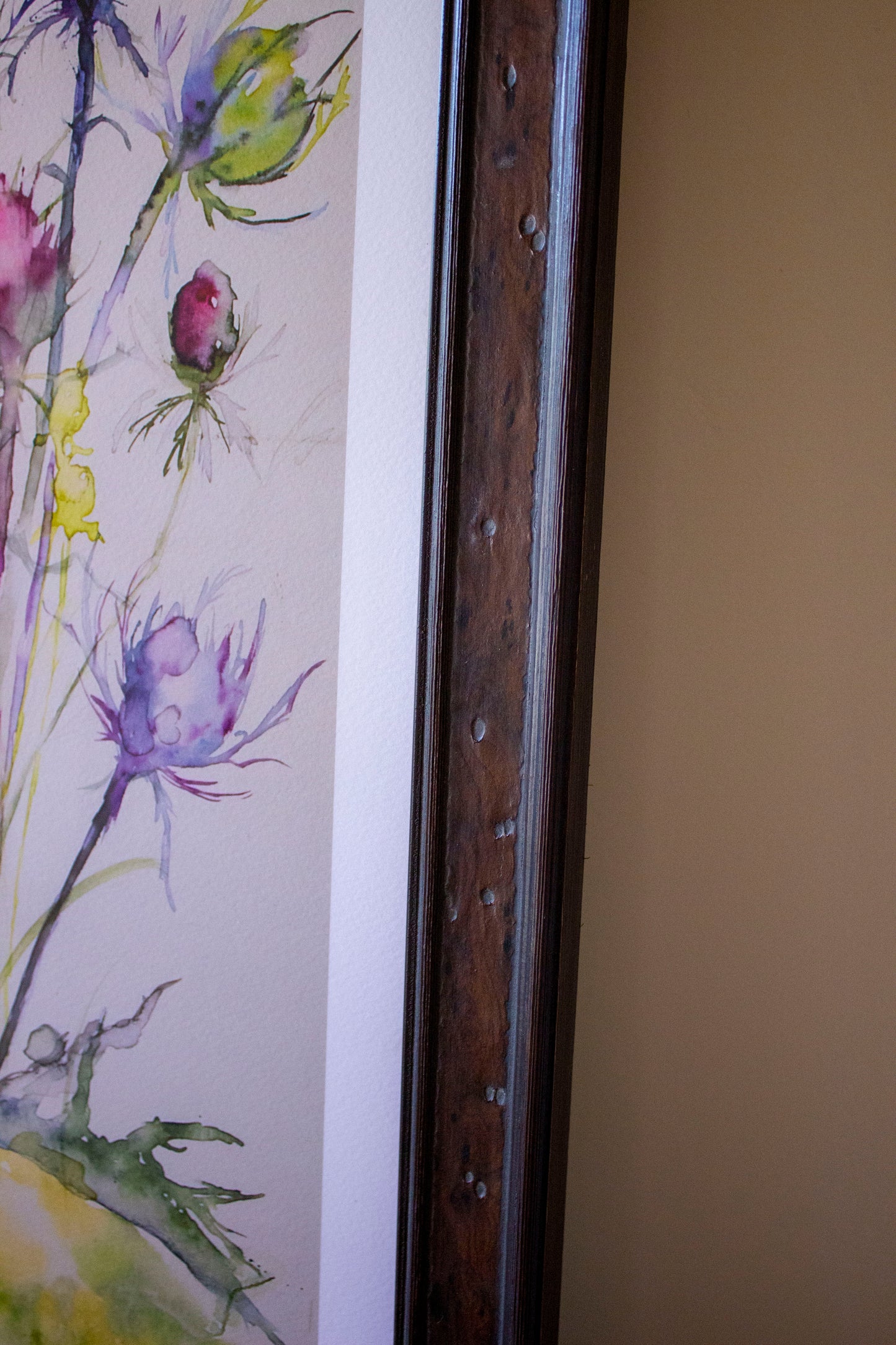 Framed "Thistle of Scotland"