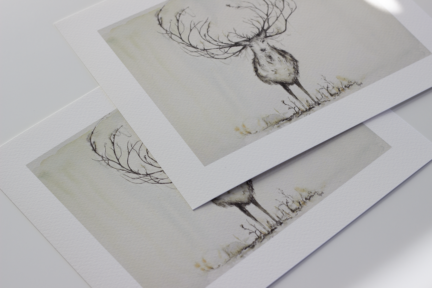 Deer with exaggerated antlers in neutral tones. Image is in mostly pen and ink with light watercolor washes, by Scottish artist CHLOE DUNCAN. Large antlers like a Christmas stag look like tree branches. Rustic farmhouse decor and giclee fine art prints of wildlife.