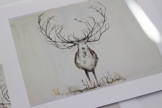 Deer with exaggerated antlers in neutral tones. Image is in mostly pen and ink with light watercolor washes, by Scottish artist CHLOE DUNCAN. Large antlers like a Christmas stag look like tree branches. Rustic farmhouse decor and giclee fine art prints of wildlife.