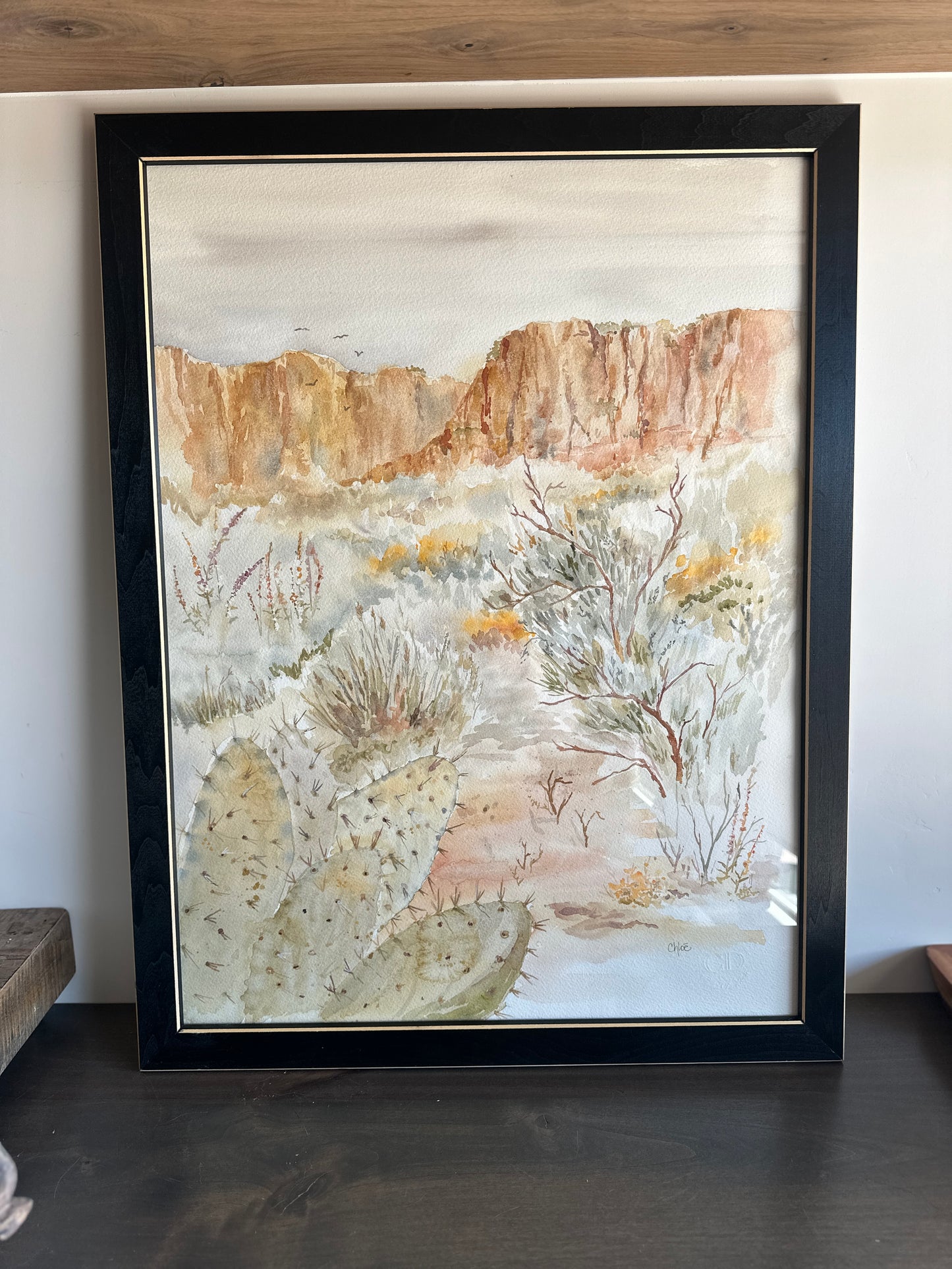 Kayenta Cactus