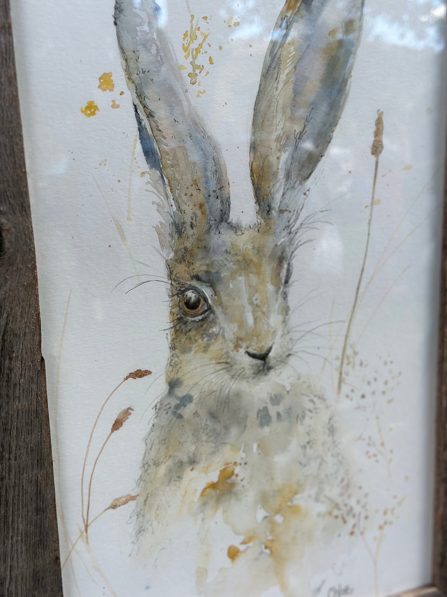 Hare