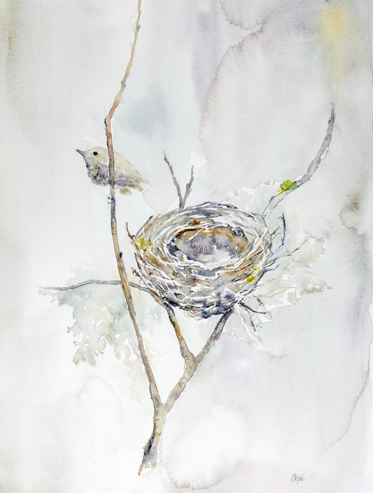 The Wee Nest - New!