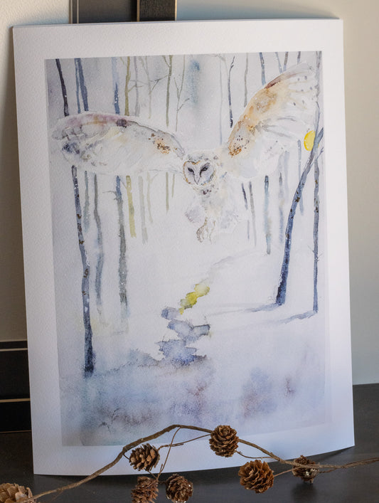 Snowy Owl