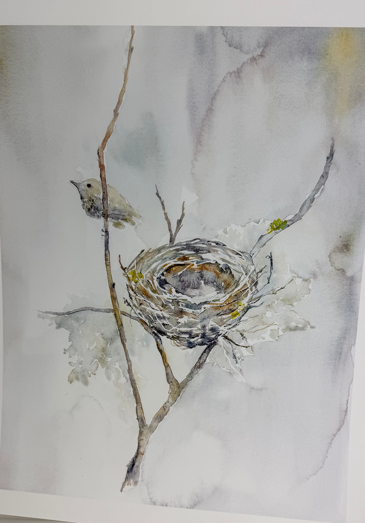 The Wee Nest - Low resolution