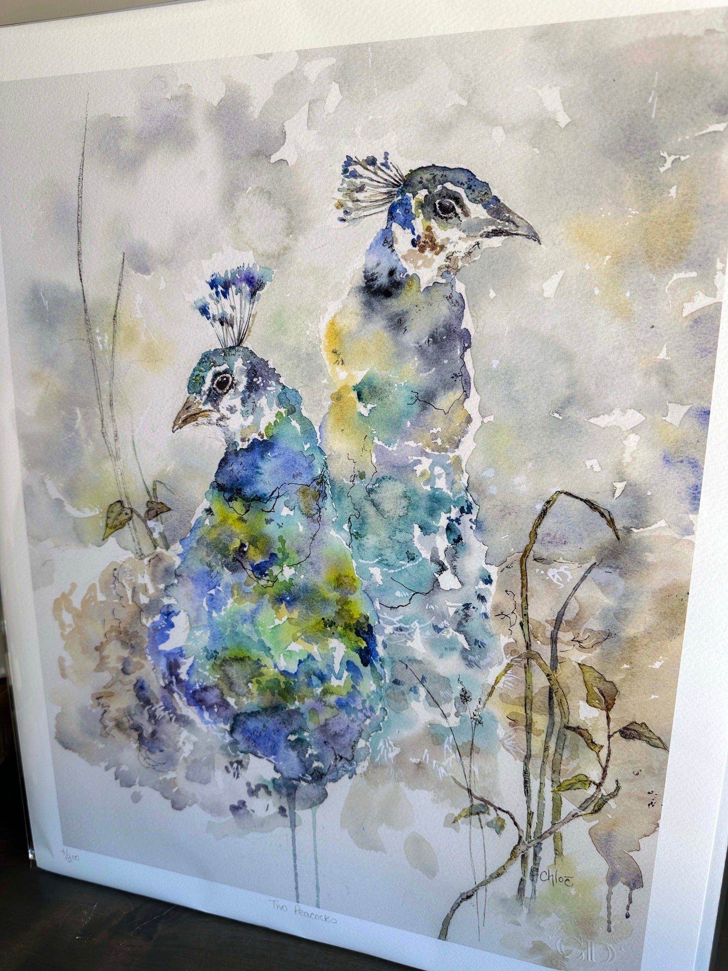 Two Peacocks Giclee Print