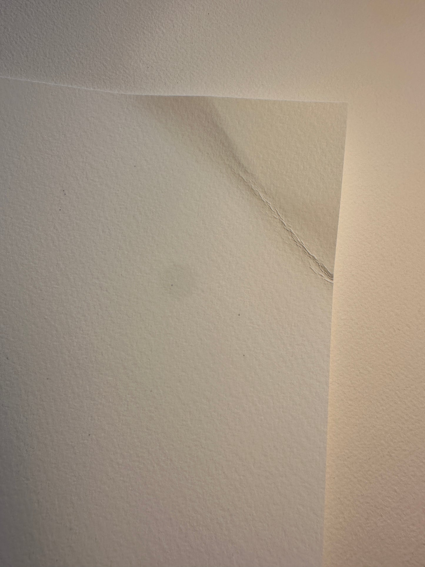 Great Owl (Slight Damage-Sold As Is)