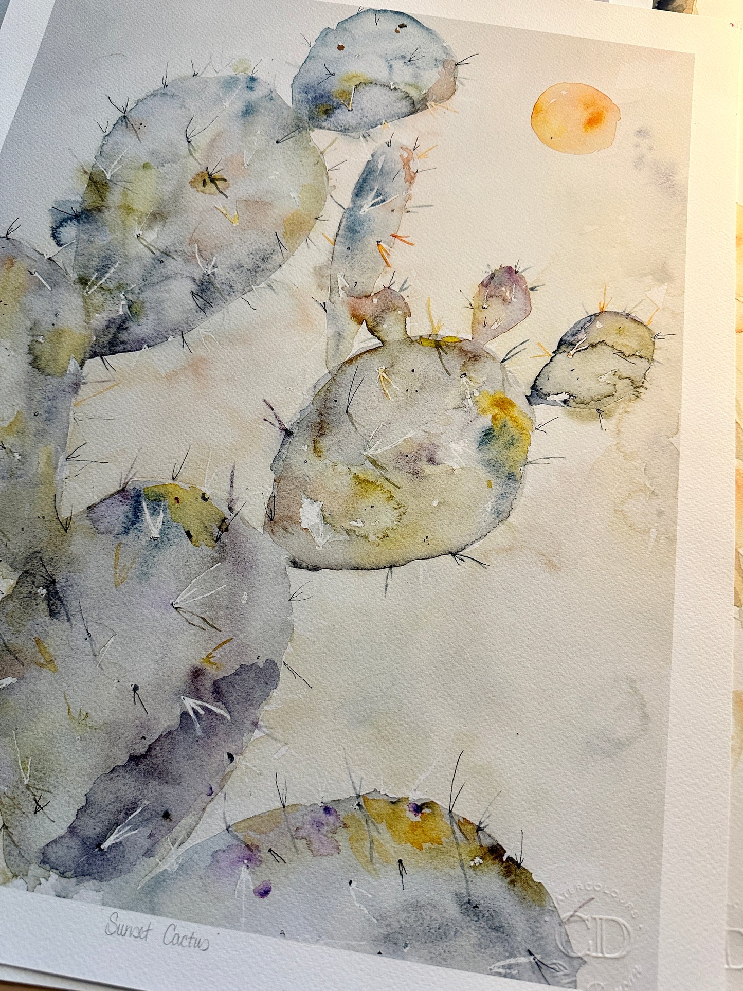 Sunset Cactus Sold as is