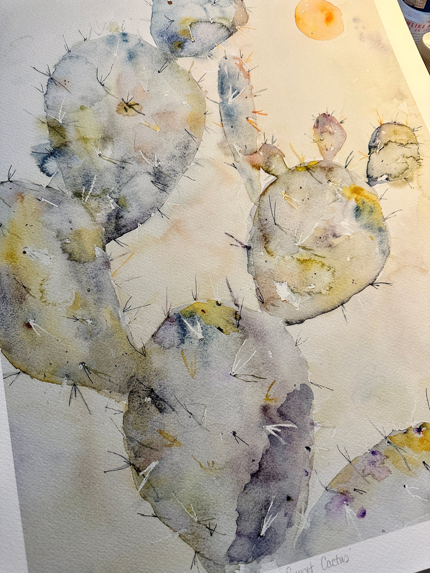 Sunset Cactus Sold as is