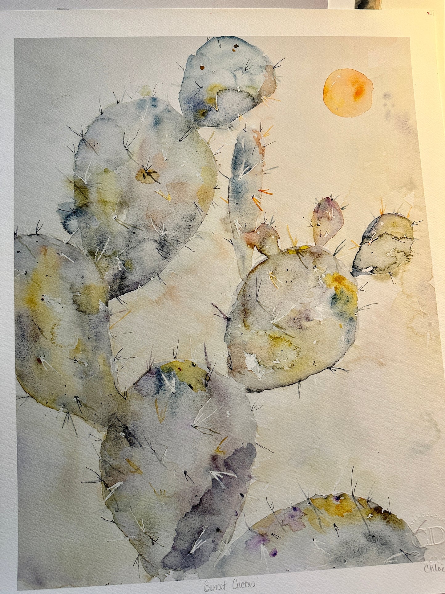 Sunset Cactus Sold as is