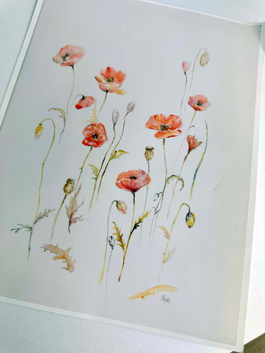 Poppies Artist Proof Print