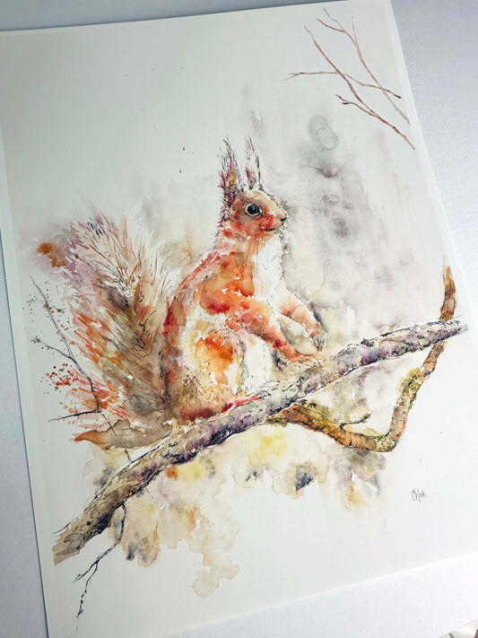 Squirrel Artist Proof Print